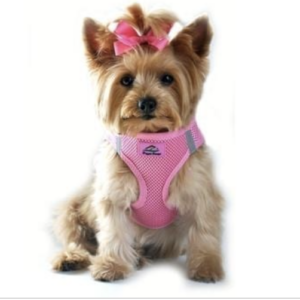 American River Candy Pink Harness